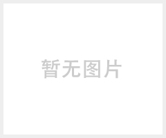 百瑞达GJD-B12K变频高速搅拌机